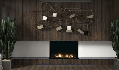 Ortal: Three Sided TS 44HH Double Glass Natural Gas Fireplace