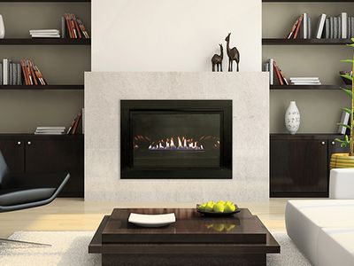 White Mountain Hearth: Vent-Free Small Loft Insert (IP)