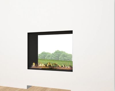 Ortal: Indoor-Outdoor Tu 7565 Double Glass Natural Gas Fireplace