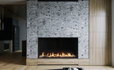 Ortal: Front Facing FR 60HH Gas Fireplace